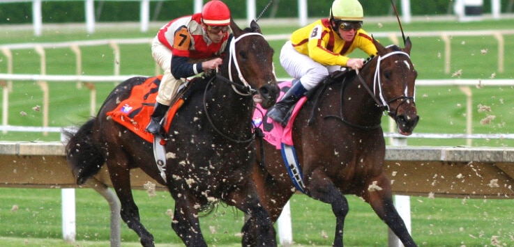 Freehold-sports-betting-horseracing