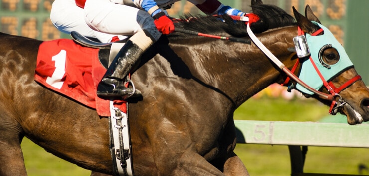 NJ-horse-racing-subsidy