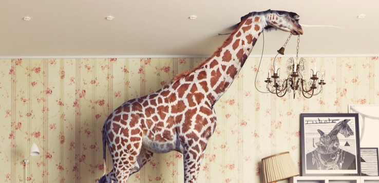 giraffe head in ceiling