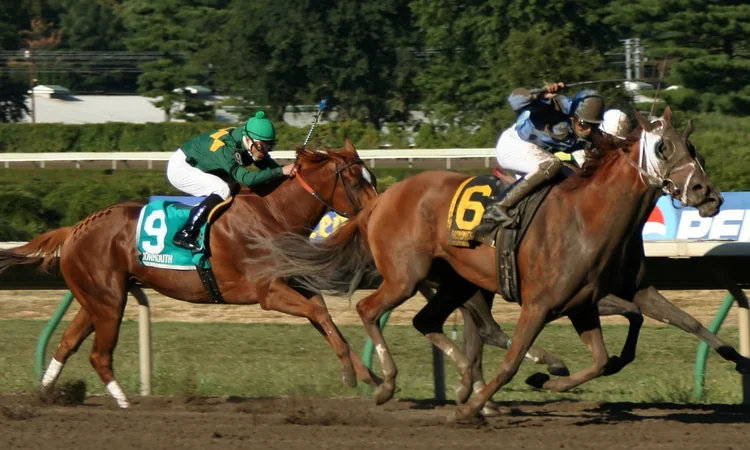 thoroughbred race