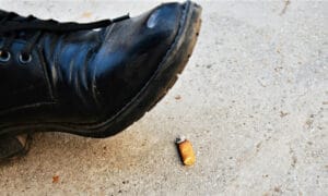shoe cigarette
